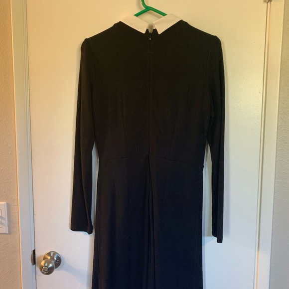 Black dress white embellished collar - Picture 2 of 4